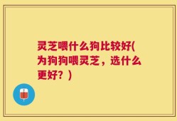 灵芝喂什么狗比较好(为狗狗喂灵芝，选什么更好？)