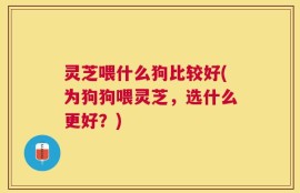 灵芝喂什么狗比较好(为狗狗喂灵芝，选什么更好？)