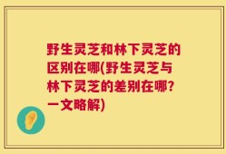 野生灵芝和林下灵芝的区别在哪(野生灵芝与林下灵芝的差别在哪？一文略解)