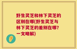 野生灵芝和林下灵芝的区别在哪(野生灵芝与林下灵芝的差别在哪？一文略解)