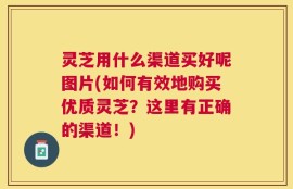 灵芝用什么渠道买好呢图片(如何有效地购买优质灵芝？这里有正确的渠道！)
