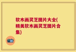 软木画灵芝图片大全(精美软木画灵芝图片合集)