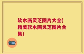 软木画灵芝图片大全(精美软木画灵芝图片合集)