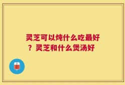 灵芝可以炖什么吃最好 ？灵芝和什么煲汤好