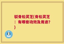 驳骨松灵芝(骨松灵芝：有哪些功效及用途？)