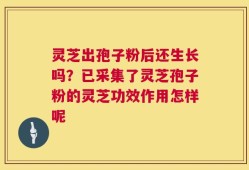 灵芝出孢子粉后还生长吗？已采集了灵芝孢子粉的灵芝功效作用怎样呢