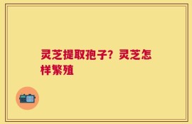 灵芝提取孢子？灵芝怎样繁殖