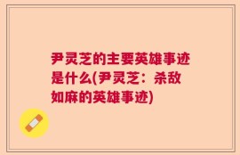 尹灵芝的主要英雄事迹是什么(尹灵芝：杀敌如麻的英雄事迹)