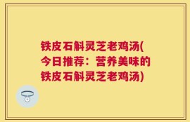 铁皮石斛灵芝老鸡汤(今日推荐：营养美味的铁皮石斛灵芝老鸡汤)