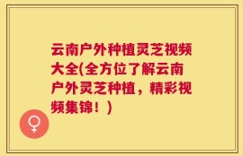 云南户外种植灵芝视频大全(全方位了解云南户外灵芝种植，精彩视频集锦！)
