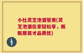小杜灵芝泡酒管用(灵芝泡酒在家轻松享，瓶瓶原装才品质优)