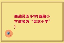 西藏灵芝小学(西藏小学命名为“灵芝小学”)