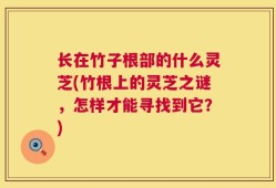 长在竹子根部的什么灵芝(竹根上的灵芝之谜，怎样才能寻找到它？)