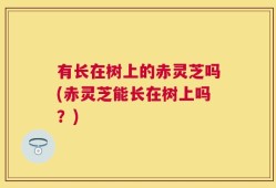 有长在树上的赤灵芝吗(赤灵芝能长在树上吗？)