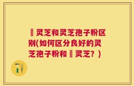 艼灵芝和灵芝孢子粉区别(如何区分良好的灵芝孢子粉和艼灵芝？)