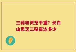 三萜和灵芝干重？长白山灵芝三萜高达多少