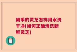 刚采的灵芝怎样用水洗干净(如何正确清洗新鲜灵芝)