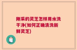 刚采的灵芝怎样用水洗干净(如何正确清洗新鲜灵芝)