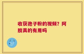 收获孢子粉的视频？阿胶真的有用吗