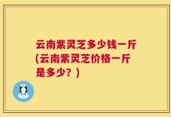 云南紫灵芝多少钱一斤(云南紫灵芝价格一斤是多少？)