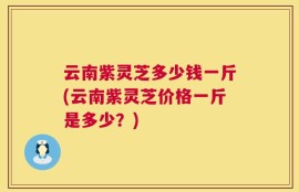 云南紫灵芝多少钱一斤(云南紫灵芝价格一斤是多少？)