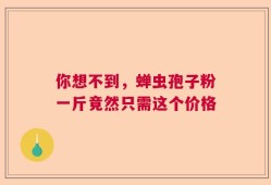 你想不到，蝉虫孢子粉一斤竟然只需这个价格