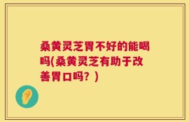 桑黄灵芝胃不好的能喝吗(桑黄灵芝有助于改善胃口吗？)