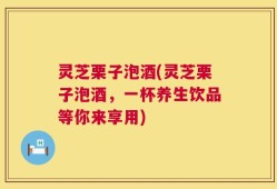 灵芝栗子泡酒(灵芝栗子泡酒，一杯养生饮品等你来享用)