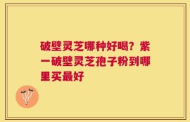 破壁灵芝哪种好喝？紫一破壁灵芝孢子粉到哪里买最好