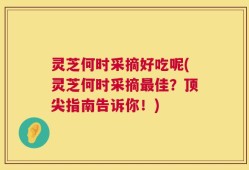 灵芝何时采摘好吃呢(灵芝何时采摘最佳？顶尖指南告诉你！)