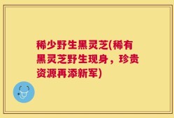 稀少野生黑灵芝(稀有黑灵芝野生现身，珍贵资源再添新军)