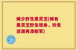 稀少野生黑灵芝(稀有黑灵芝野生现身，珍贵资源再添新军)
