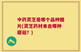 中药灵芝是哪个品种图片(灵芝药材来自哪种蘑菇？)