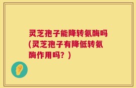 灵芝孢子能降转氨酶吗(灵芝孢子有降低转氨酶作用吗？)