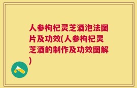 人参枸杞灵芝酒泡法图片及功效(人参枸杞灵芝酒的制作及功效图解)