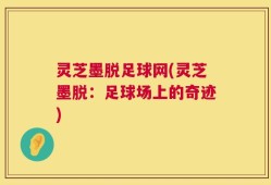 灵芝墨脱足球网(灵芝墨脱：足球场上的奇迹)