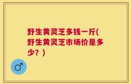 野生黄灵芝多钱一斤(野生黄灵芝市场价是多少？)