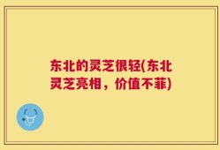 东北的灵芝很轻(东北灵芝亮相，价值不菲)