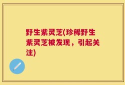 野生紫灵芝(珍稀野生紫灵芝被发现，引起关注)