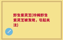 野生紫灵芝(珍稀野生紫灵芝被发现，引起关注)
