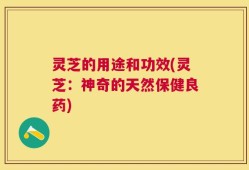 灵芝的用途和功效(灵芝：神奇的天然保健良药)