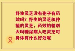 野生灵芝没有孢子有药效吗？野生的灵芝和种植的灵芝，药效的差别大吗糖尿病人吃灵芝对身体有什么好处呢