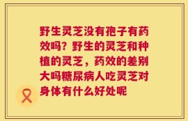 野生灵芝没有孢子有药效吗？野生的灵芝和种植的灵芝，药效的差别大吗糖尿病人吃灵芝对身体有什么好处呢
