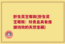 野生灵芝霉斑(野生灵芝霉斑：珍贵且具有保健功效的天然宝藏)