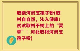 取柴河灵芝孢子粉(取材自自然，沁入健康！试试取材于树上的“灵草”：河北取材河灵芝孢子粉)