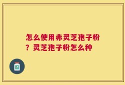 怎么使用赤灵芝孢子粉？灵芝孢子粉怎么种