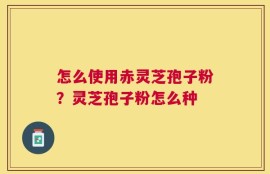 怎么使用赤灵芝孢子粉？灵芝孢子粉怎么种