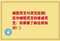 破壁灵芝与灵芝区别(区分破壁灵芝和普通灵芝：你需要了解这些知识！)