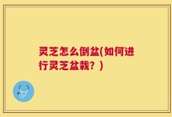 灵芝怎么倒盆(如何进行灵芝盆栽？)