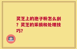 灵芝上的孢子粉怎么刮？灵芝的采摘和处理技巧？